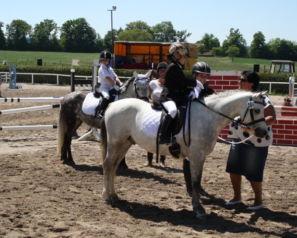 dressage horse Kienbergs Belmonte (Welsh-Pony (Section B), 2009, from Breeton Bric)