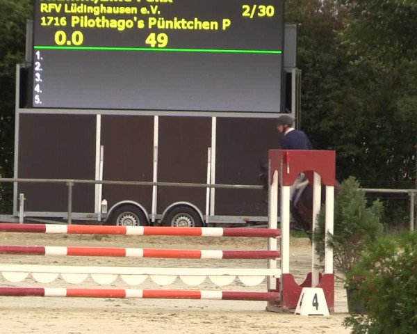 Reitturnier Appelhülsen 2018