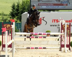 jumper Abbottabad CH (Westphalian, 2009, from Arpeggio)