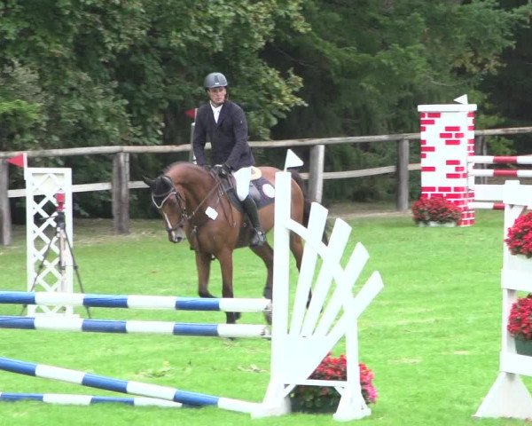 Reitturnier Würselen-Pley 2018