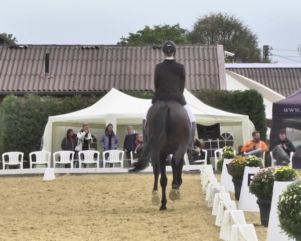 Mieler Reitkultur 2018