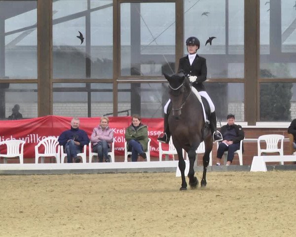 Mieler Reitkultur 2018