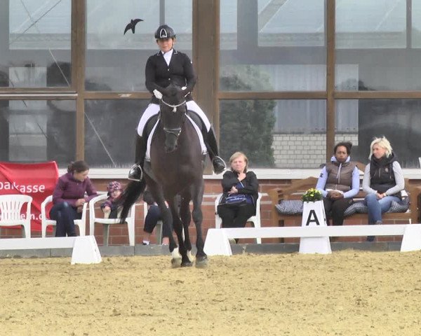 Mieler Reitkultur 2018
