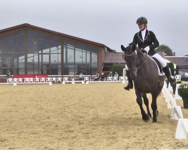 Mieler Reitkultur 2018