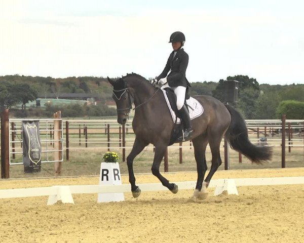 Mieler Reitkultur 2018