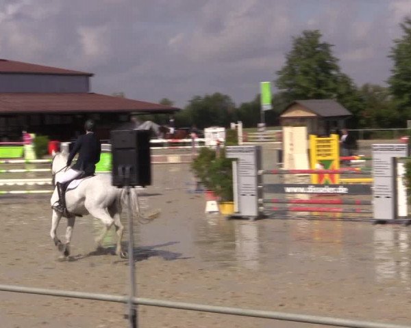 Reitturnier Appelhülsen 2018