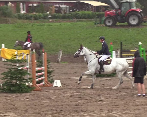 Reitturnier Looper Holz 2018