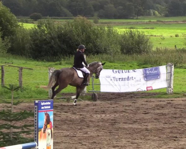 Reitturnier Looper Holz 2018
