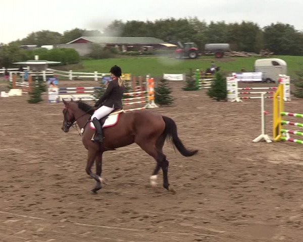 Reitturnier Looper Holz 2018