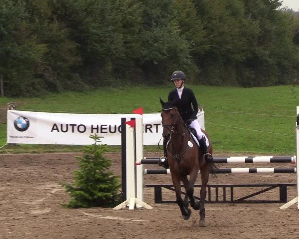 Reitturnier Looper Holz 2018