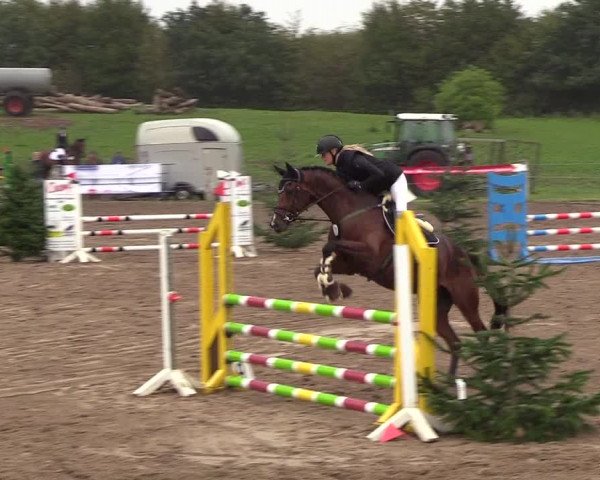 Reitturnier Looper Holz 2018