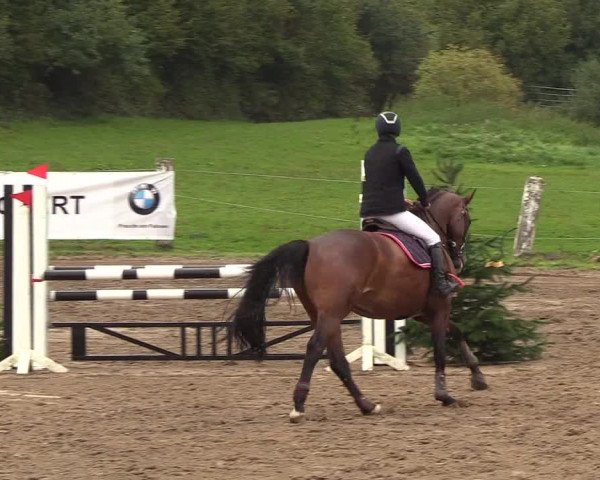 Reitturnier Looper Holz 2018