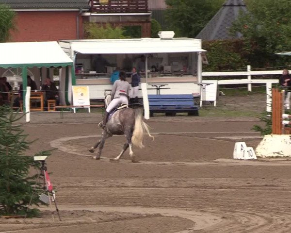 Reitturnier Looper Holz 2018