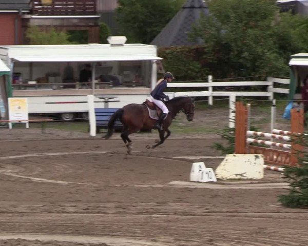 Reitturnier Looper Holz 2018