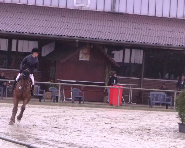 Reitturnier Appelhülsen 2018