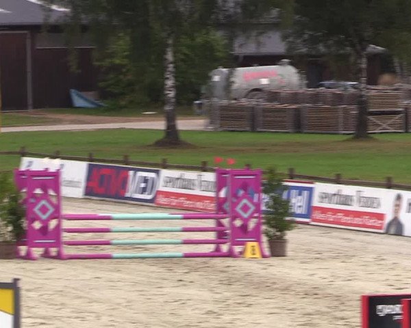 Reitturnier Westergellersen 2021