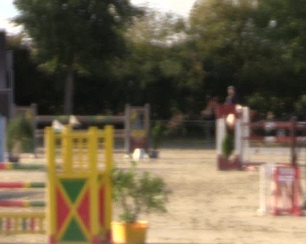 Reitturnier Appelhülsen 2018
