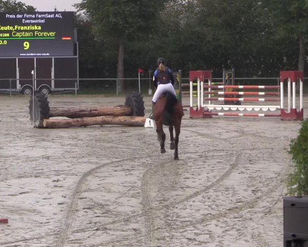 Reitturnier Appelhülsen 2018