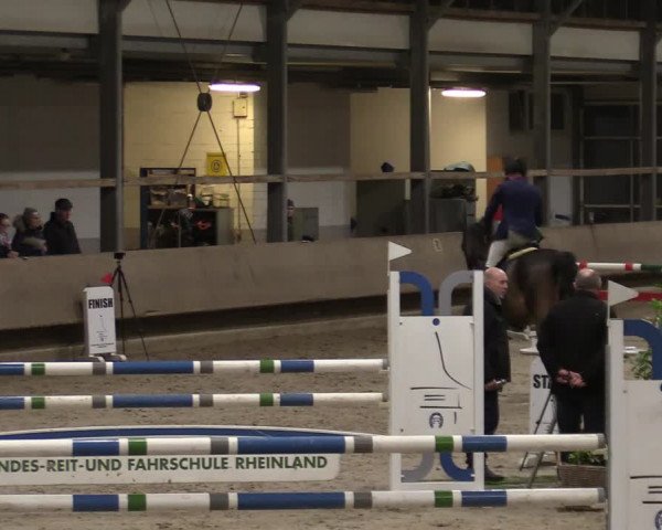 Reitturnier Langenfeld - Gut Langfort 2021