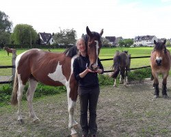 dressage horse Sky (Westphalian, 2015, from Samico F)
