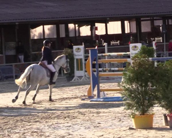 Reitturnier Appelhülsen 2018