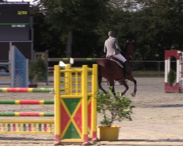 Reitturnier Appelhülsen 2018