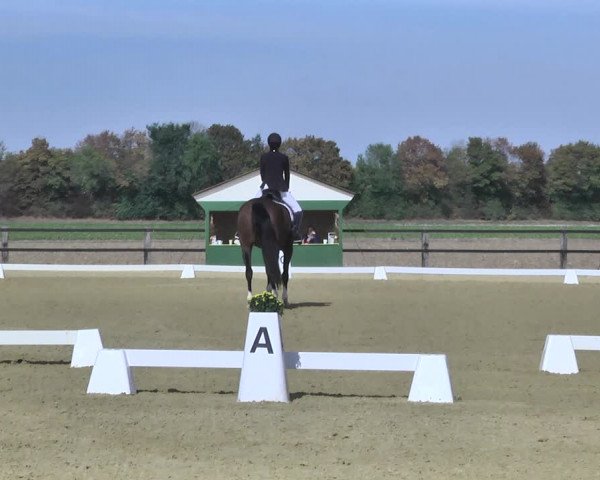 Mieler Reitkultur 2018
