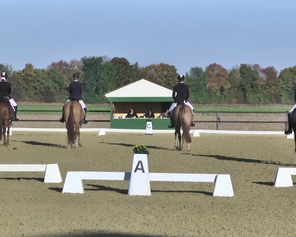 Mieler Reitkultur 2018