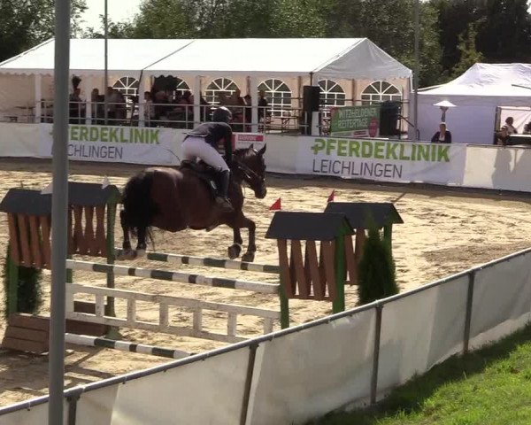 Witzheldener Reitertage 2018