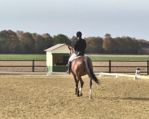Mieler Reitkultur 2018