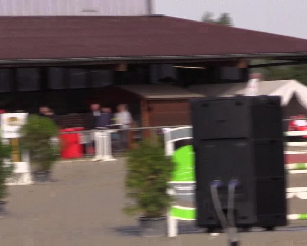 Reitturnier Appelhülsen 2018