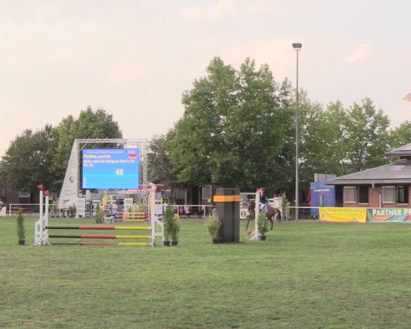 17. Reitertage Münchehofe