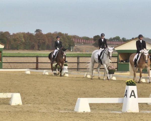 Mieler Reitkultur 2018