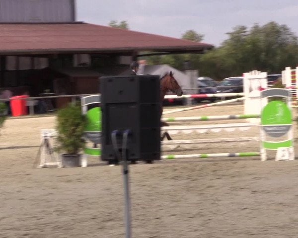 Reitturnier Appelhülsen 2018