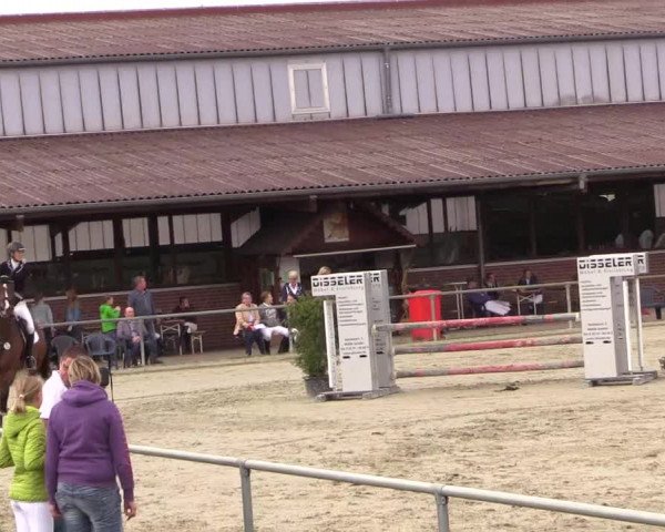 Reitturnier Appelhülsen 2018