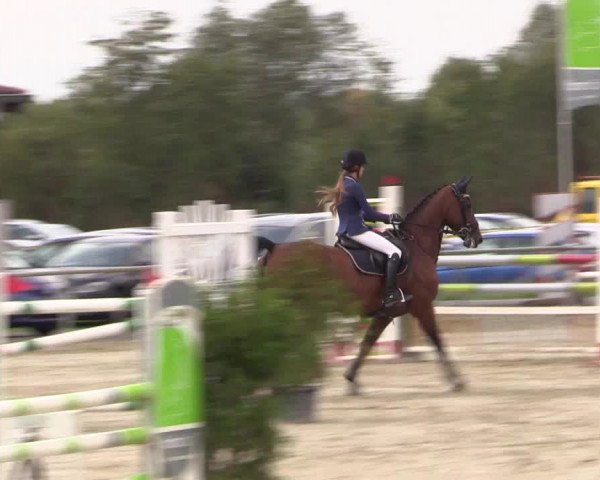 Reitturnier Appelhülsen 2018