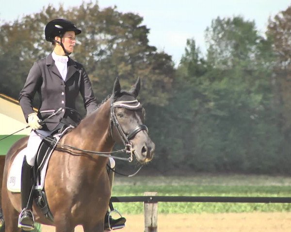 Mieler Reitkultur 2018