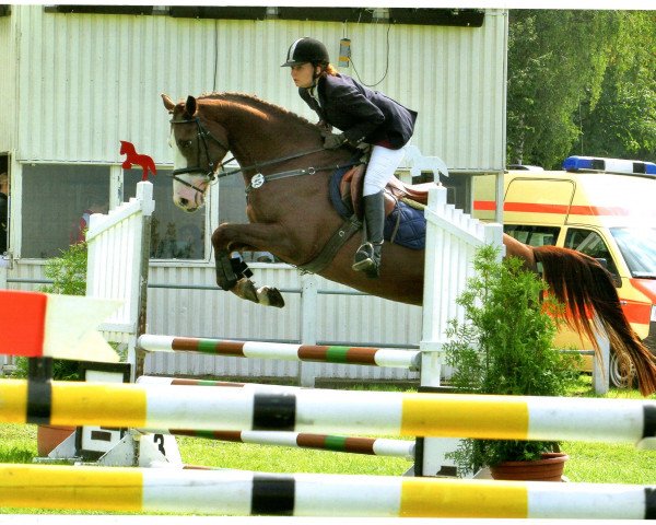 broodmare Loxana L (Oldenburg, 2011, from Last Mans Hope)
