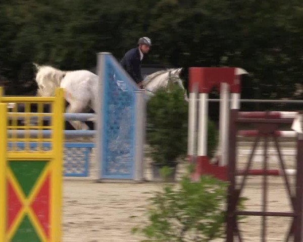 Reitturnier Appelhülsen 2018