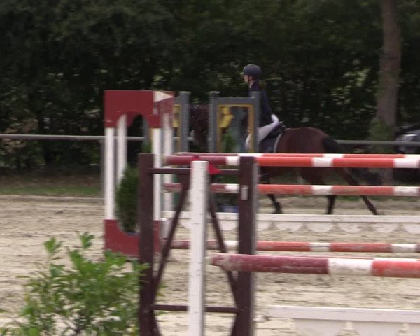Reitturnier Appelhülsen 2018
