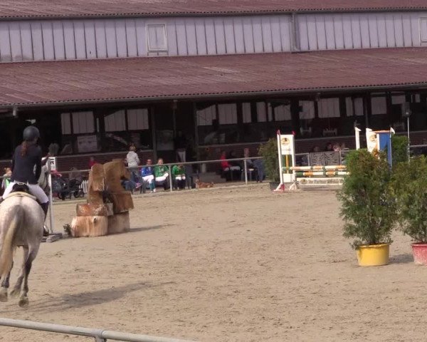 Reitturnier Appelhülsen 2018