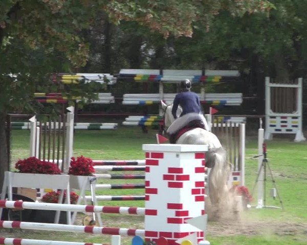 Reitturnier Würselen-Pley 2018