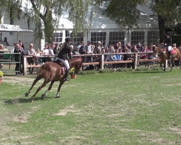 Reitturnier Würselen-Pley 2018