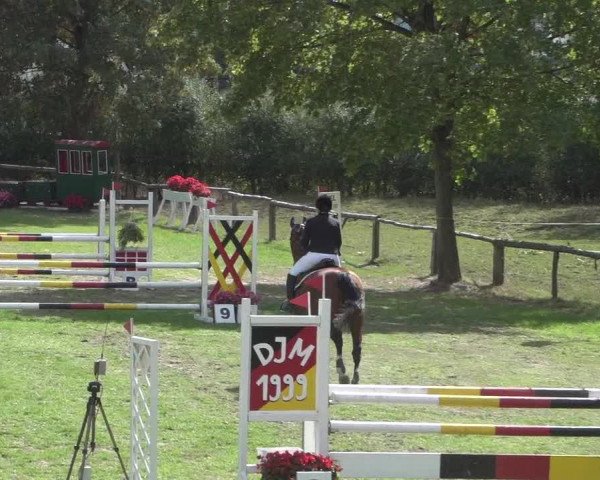 Reitturnier Würselen-Pley 2018