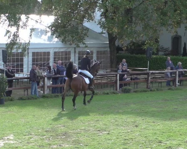 Reitturnier Würselen-Pley 2018