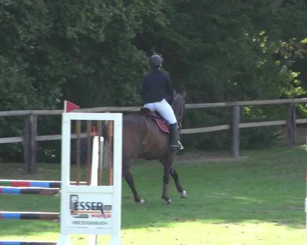 Reitturnier Würselen-Pley 2018