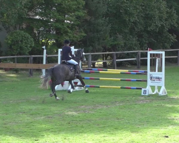 Reitturnier Würselen-Pley 2018