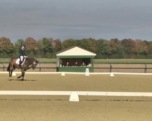 Mieler Reitkultur 2018