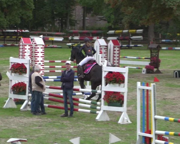 Reitturnier Würselen-Pley 2018