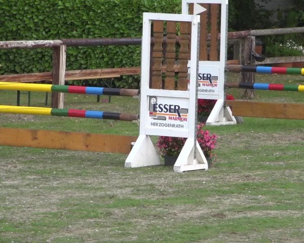 Reitturnier Würselen-Pley 2018